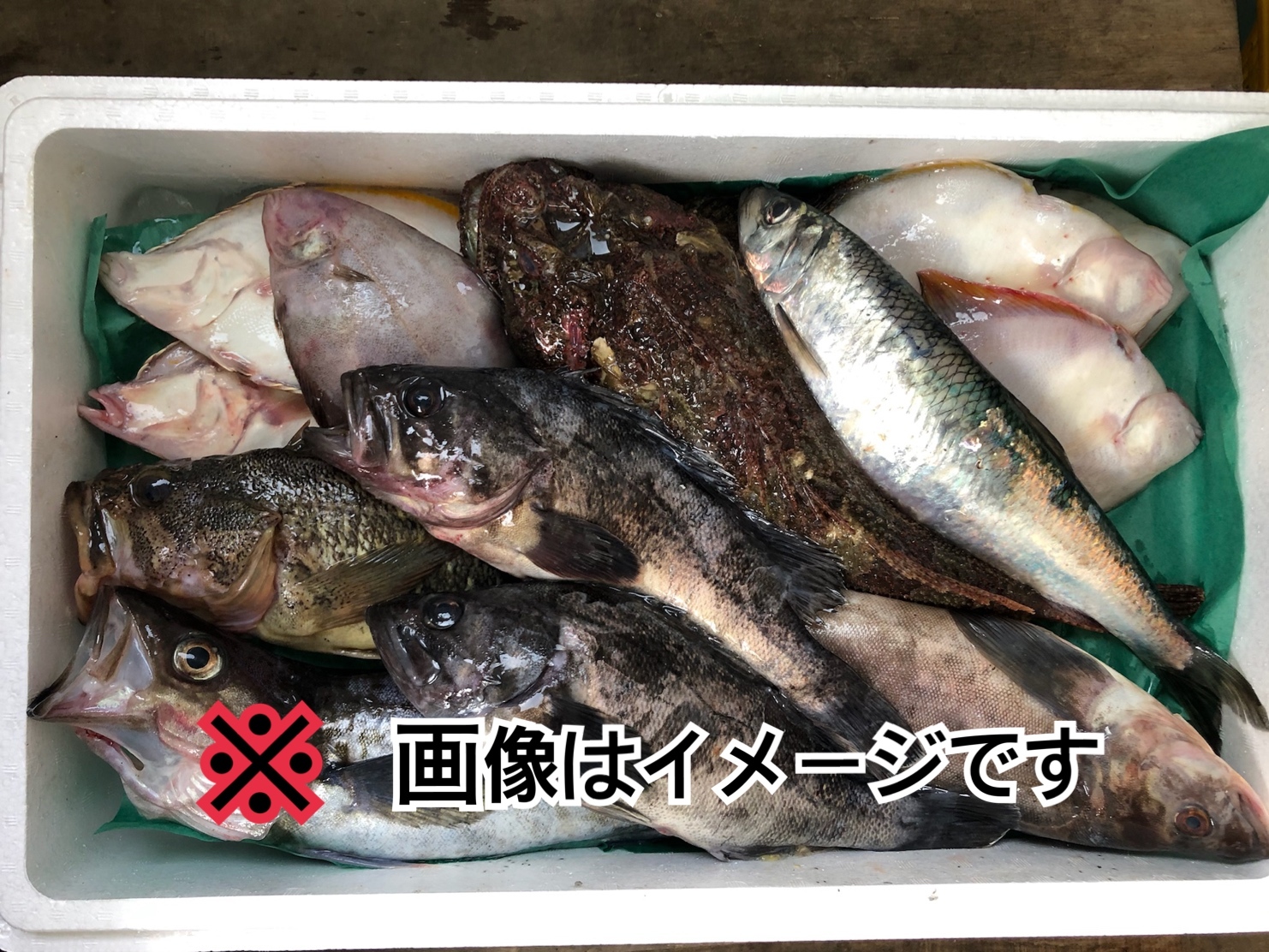 知床羅臼直送】未利用魚ボックス（鮮魚ボックス梅コース）｜魚介類の商品詳細｜ポケットマルシェ｜産直(産地直送)通販　旬の果物・野菜・魚介をお取り寄せ