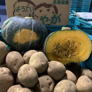 【ポケマル4周年記念セール】キタアカリ＆南瓜セット