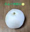 【おすすめ商品】さっぱりした夏の甘さ！ニューメロン 栽培期間中農薬不使用