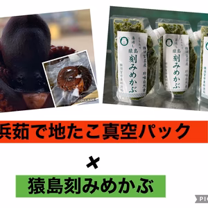 浜茹で地たこ足切り売り真空パック×刻みめかぶセット