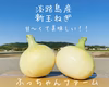 【10セット限定】自然栽培のスナップエンドウと淡路島産の新玉ねぎ