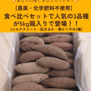 3品種から選べるさつまいも5kg箱入り！【農薬化学肥料不使用】サイズも選べます！
