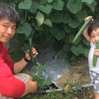 森脇健斗