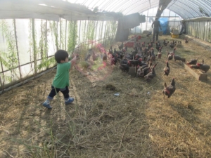 14581527_1079762748798171_860063442206033981_n