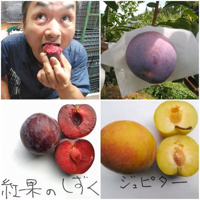 みんなの投稿の画像