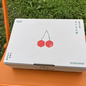 【再販5箱】北海道仁木町産さくらんぼ（佐藤錦）300ｇｘ２パック