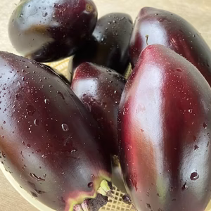 　在来種「上越丸えんぴつナス 」5個