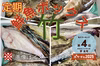 定期 竹コース【知床羅臼直送】船頭にお任せ！鮮魚ボックス