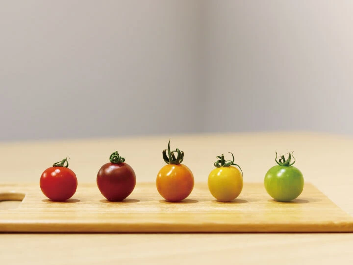 《食卓に彩りを》見ても食べても感動できる♪カラフルミニトマト(1.4kg)　