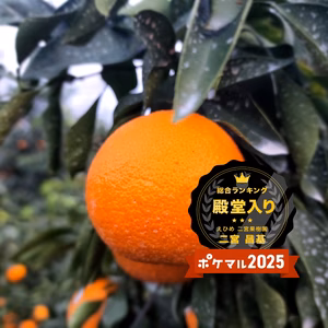 困ってますマドンナ　殿堂入りセール