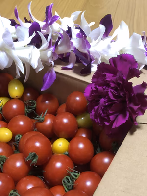 みんなの投稿の画像