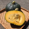かぼちゃ『ほっとけ栗たん』