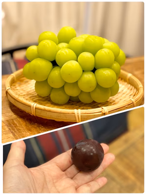 みんなの投稿の画像