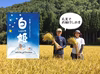 玄米・令和三年産新米 白川郷こしひかりプレミアム【白姫】