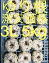 北海道産 ゆり根 3L 5kg お徳用 大特価 野菜