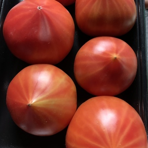 ファーストトマト２キロ＋わけありトマト２キロ‼︎セット