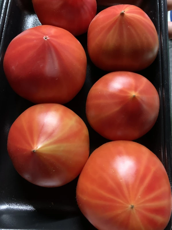 ファーストトマト２キロ＋わけありトマト２キロ‼︎セット