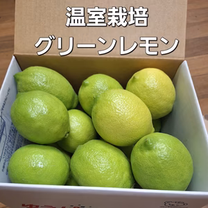温室グリーンレモン２kg　　　(大玉)