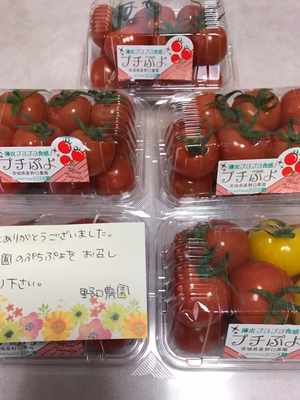 みんなの投稿の画像