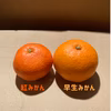 【訳あり】『紅みかん』鮮やかな紅色のみかん！