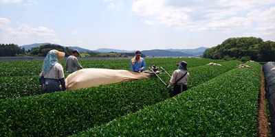 2017年のポケマル思い出アルバム ④白井いくみさん編