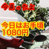 4日は14時まで7箱　お手頃箱1080円　しらぬいみかん2kg　ブロッコリー２本