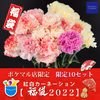 【福袋2022】おまけ付！最高級紅白カーネーション詰合(20本)10セット限定