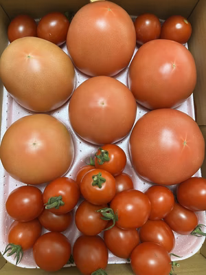 みんなの投稿の画像