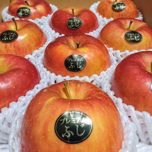 青森県産りんご「自社イチオシ」完熟大きめプレミアム葉とらず蜜入りサンふじ約3kg