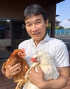 【チルド便】幸せの青い卵　アローカナ　20～50個
