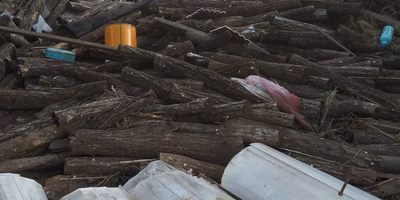 台風15号・19号被害への支援について