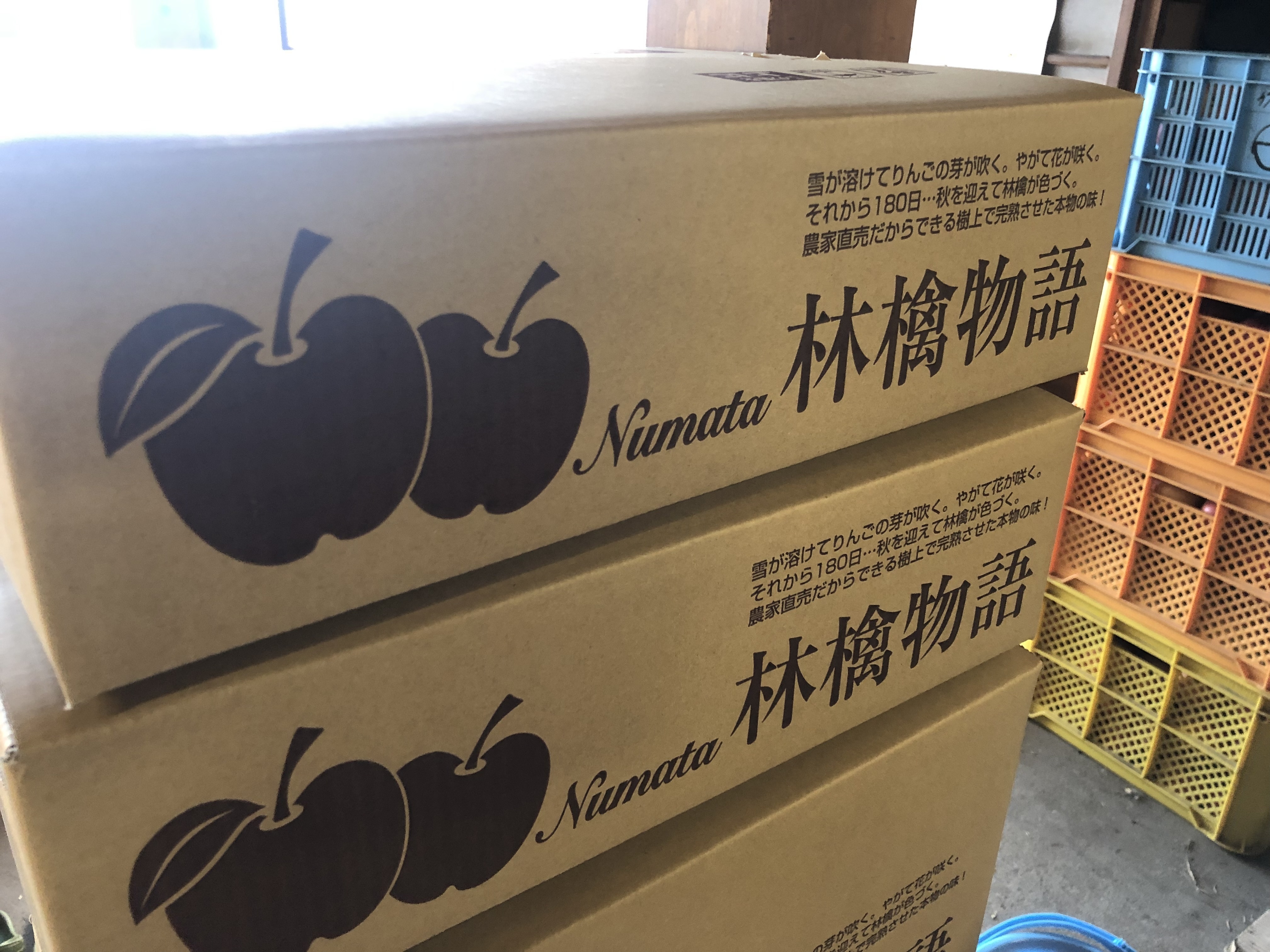 群馬県沼田市｜立花リンゴ園｜髙山晃寛さんの生産者プロフィール