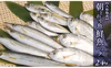 大和海商の朝どれ小魚鮮魚パック2.4kg【大和海商】