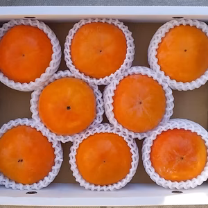 【贈答品】（富有柿、糖度13度良品）9個箱詰め和歌山産