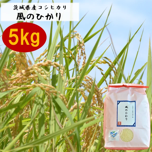 【新米】茨城県産コシヒカリ　風のひかり5kg