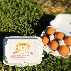 【福袋2026】❗新年初産❗️元旦宮タマ(赤)×36個※1月1～3日発送※