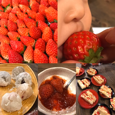 みんなの投稿の画像