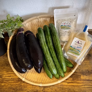 採れたて野菜♪自分で漬けてみませんか？