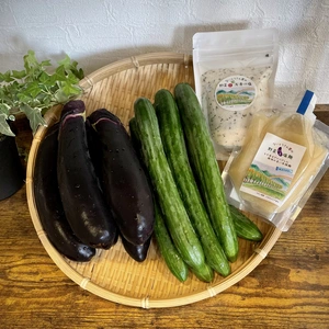 採れたて野菜♪自分で漬けてみませんか？