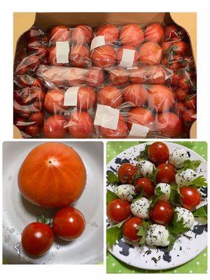 みんなの投稿の画像