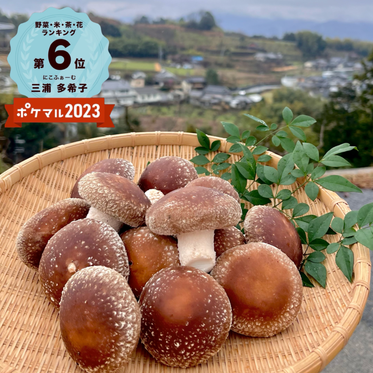 [2箱][クール便]こだわり味自慢 和歌山県産 菌床椎茸 バラ入り800gを2箱