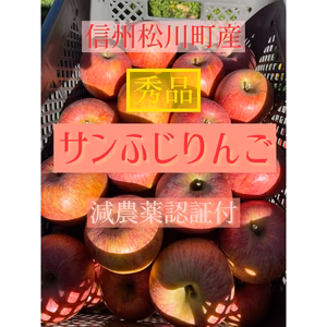 信州松川町産　サンふじりんご
