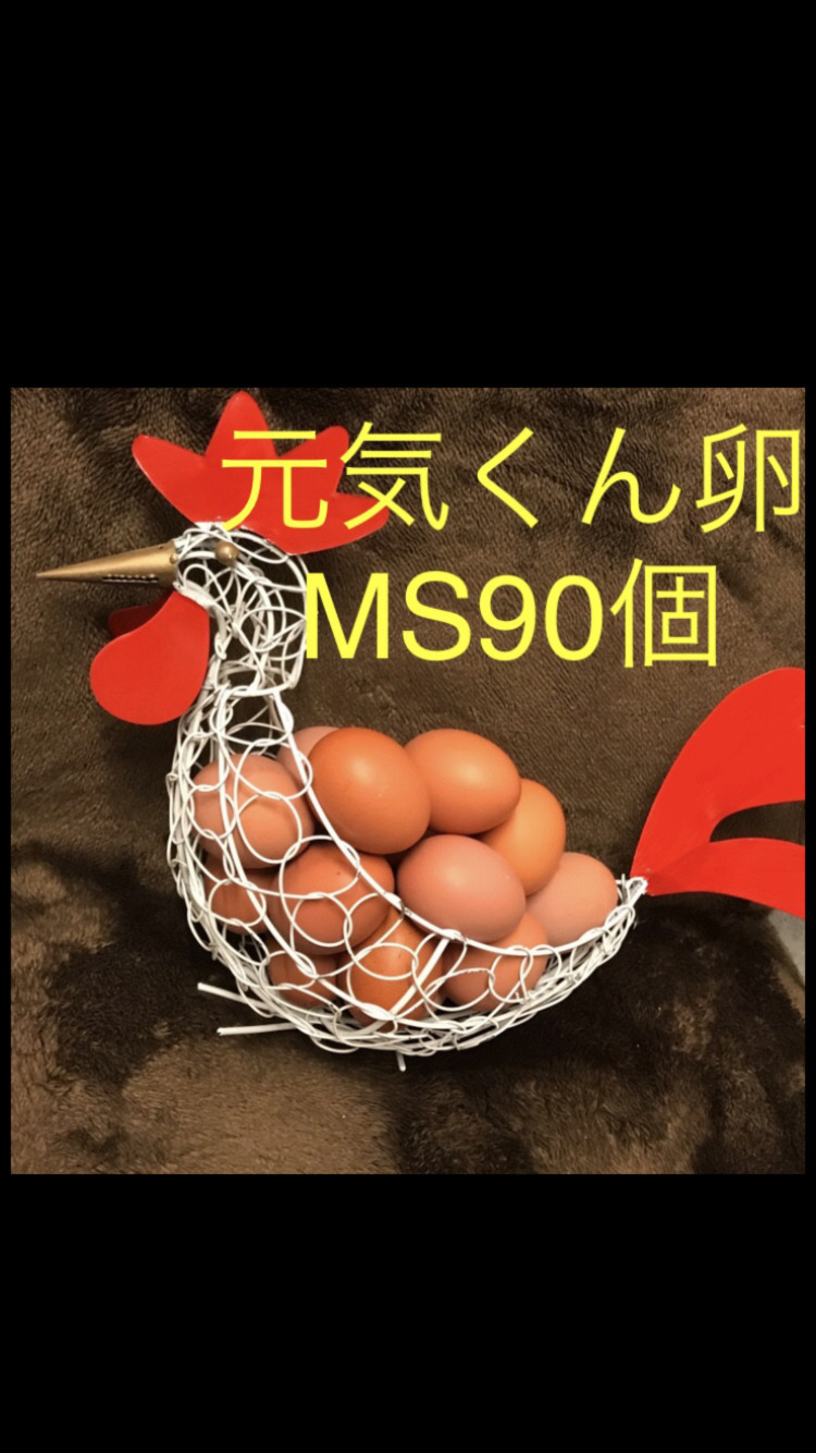 Sサイズ卵 90個 元気くん Sサイズ卵 90個 元気くん