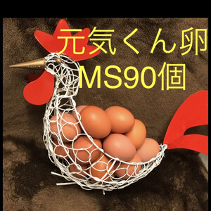元気くん　卵　90個