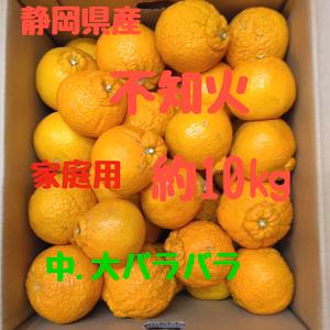 静岡県産　不知火　家庭用　約10㎏