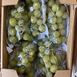 シャインマスカット