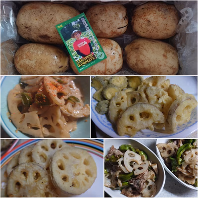 みんなの投稿の画像