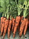 農薬や化学肥料を使わずに栽培した野菜と、にんじん100%ジュースの詰合わせセット