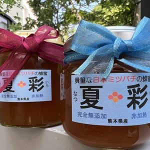 　日本蜜蜂の生蜂蜜（夏彩）なついろ　無添加　非加熱
