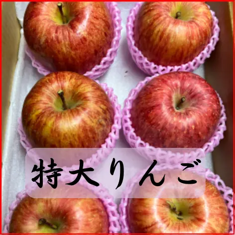 ギフト専用】りんご 秋田県産 直送 お歳暮 りんご 林檎 ふじ 王林 3キ